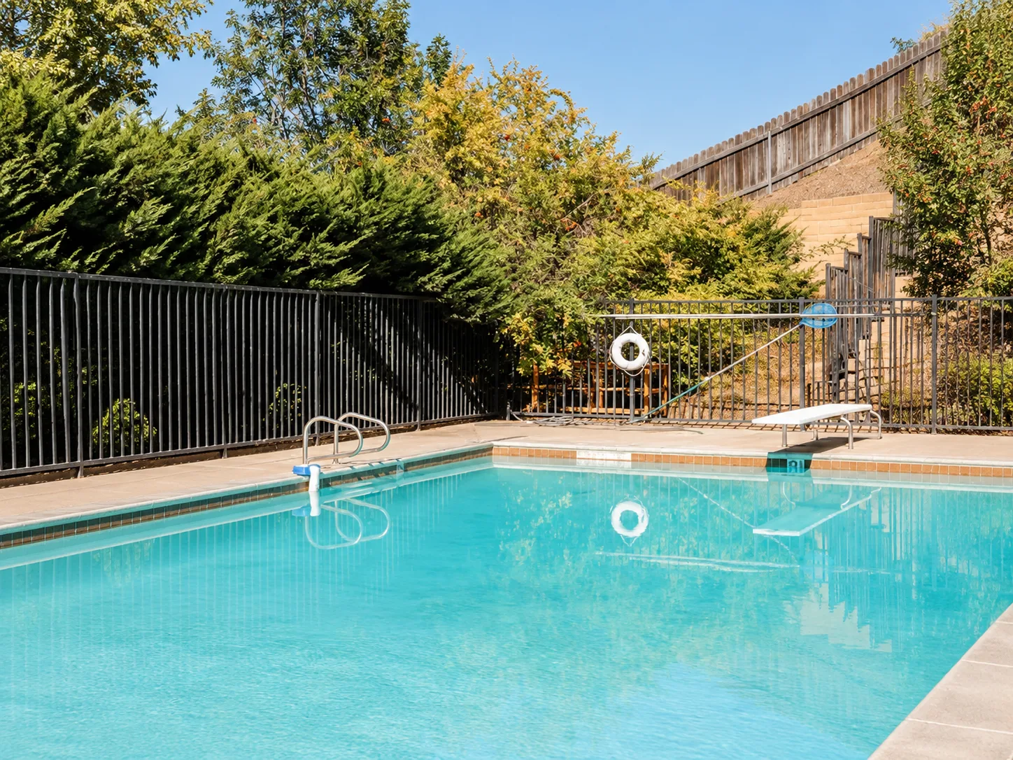 Private outdoor swimming pool with surrounding greenery at Orchard Atelier